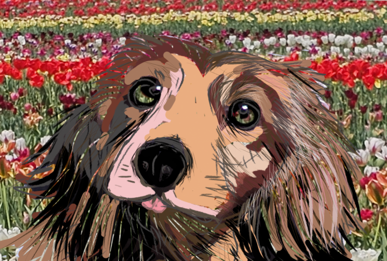 たくさんの　幸せをありがとう