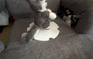 羊毛フェルト作品 - おこじょ