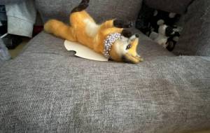 羊毛フェルト作品2号 - おこじょ