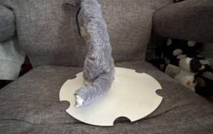 蝦夷クロテンの人形の後ろ姿 - おこじょ 