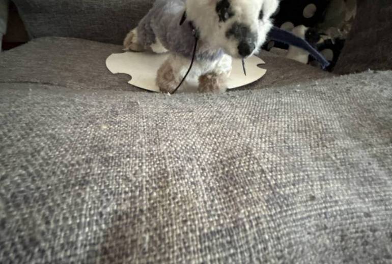 蝦夷クロテンの人形其の3