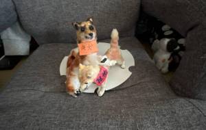 柴犬の人形 - おこじょ