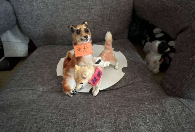 柴犬の人形 - おこじょ 