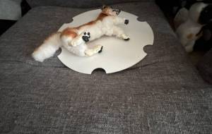 柴犬さん - おこじょ 