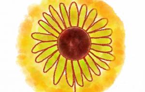 向日葵 - 夏野雨 