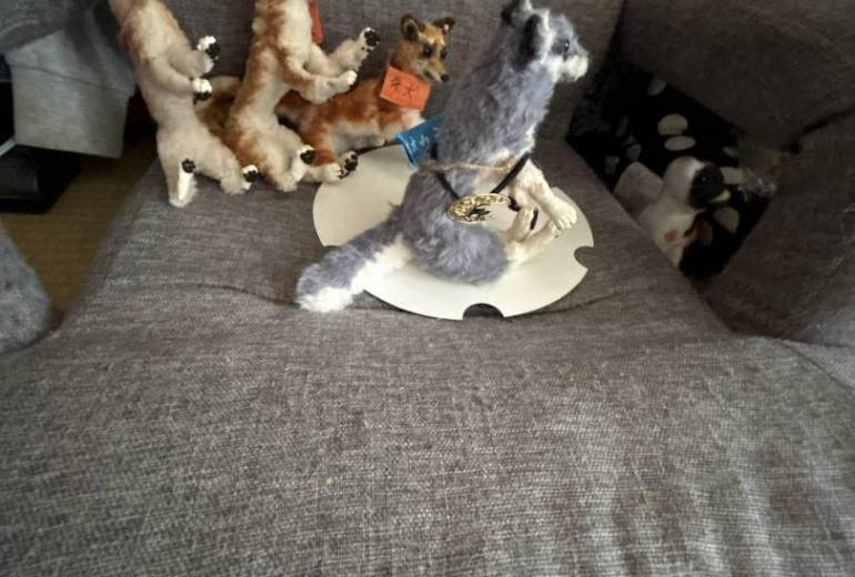 オオカミ君登場