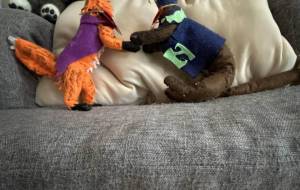 みんな集合 - おこじょ