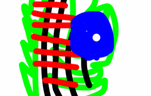 アール・ブリュット挑戦 - 笹谷正博 