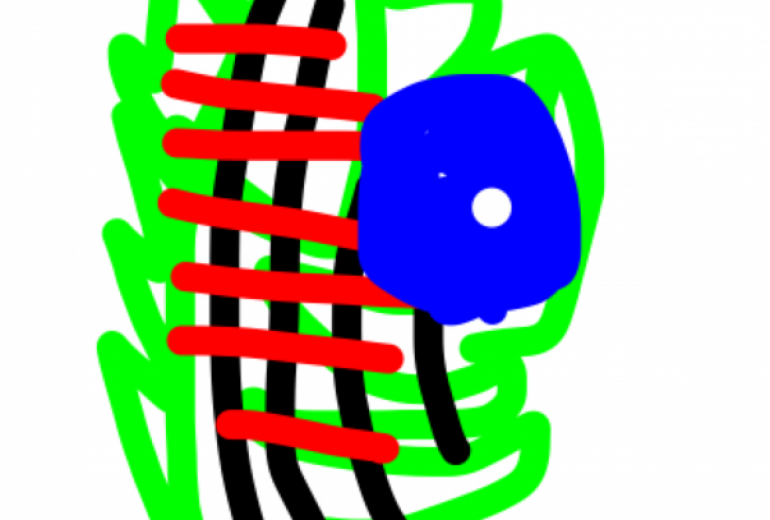 アール・ブリュット挑戦