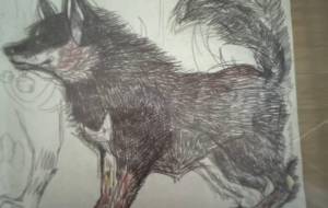 愛犬 - おこじょ 