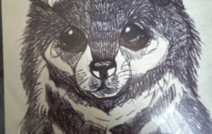 ボールペン画 - おこじょ 