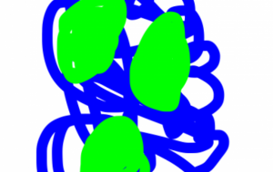 アール・ブリュット挑戦 - 笹谷正博 