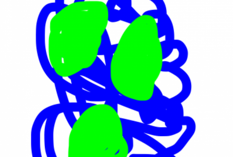 アール・ブリュット挑戦