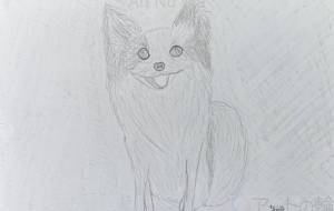 うーちゃん - marina♡ 