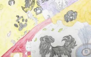 わんねこ - 【イベント】可能性アートプロジェクト 2026 