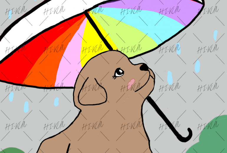 虹色の傘と子犬