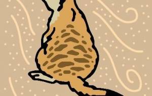 ミーアキャット - 【イベント】可能性アートプロジェクト 2026 