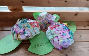 あじさい - 金盛杏奈