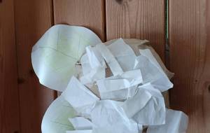 あじさい - 中井麻美