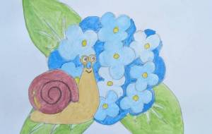 あじさいとかたつむり - Hiro 