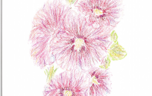 タチアオイ - 雪柳 