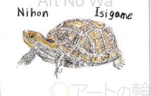 ニホンイシガメ - 雪柳 