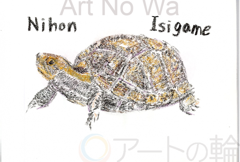 ニホンイシガメ