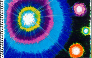 ビックバン - 雪柳 