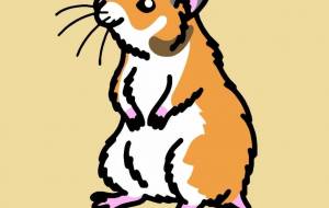 ゴールデンハムスター - 【イベント】可能性アートプロジェクト 2026 