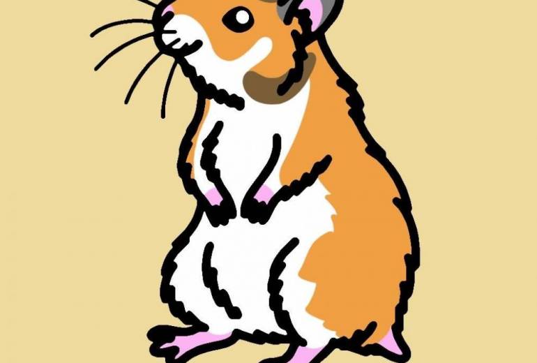 ゴールデンハムスター