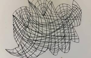 アール・ブリュット挑戦 - 笹谷正博