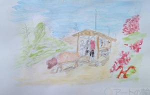 沖縄　牛車 - Hiro 