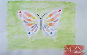 カラフルな蝶 - Miyumomo 
