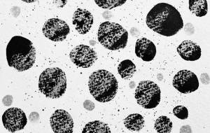 冬の歌 - 絵言葉 