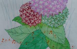 梅雨入り - Shino-B(シノビー) 