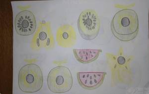 035フルーツ - シュン 