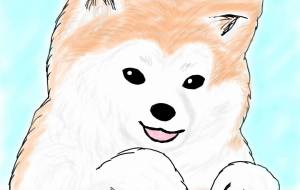 ひょっこり秋田犬(赤毛) - 華凪