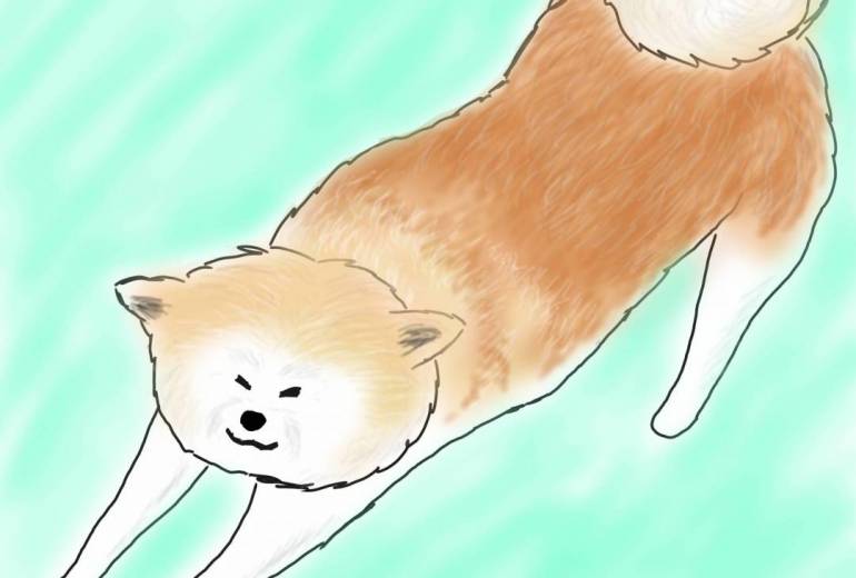 のびー秋田犬（赤毛）