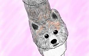 きゅるるん秋田犬（虎毛） - 華凪 