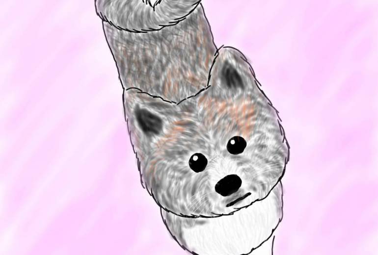 きゅるるん秋田犬（虎毛）
