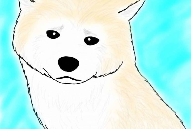 嫌なの（秋田犬・赤毛）