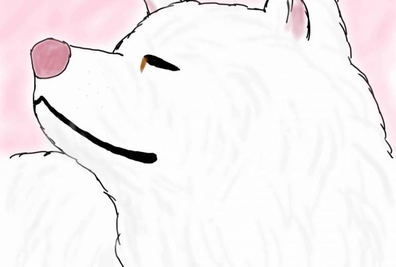 王子の微笑み（秋田犬・白毛）