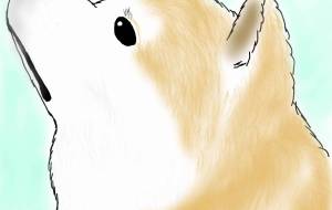 行っちゃうの？（秋田犬・赤毛） - 華凪 