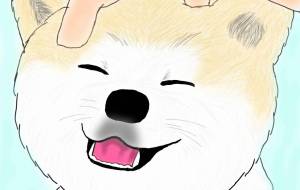 えへへ（秋田犬・赤毛） - 華凪 