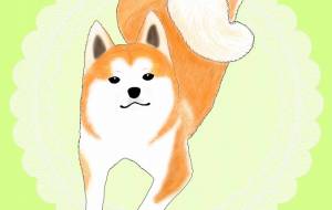 わくわく秋田犬（赤毛） - 華凪 