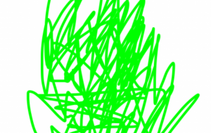 アール・ブリュット挑戦 - 笹谷正博