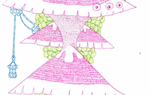 キノコの屋根 - issei 