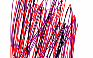 アール・ブリュット挑戦 - 笹谷正博