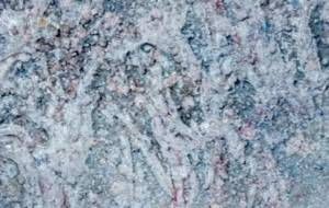 しだれざくら。 - 久保田　俊 