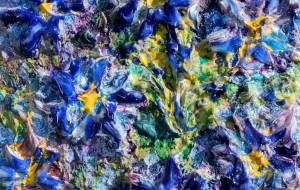 はな - 久保田　俊 